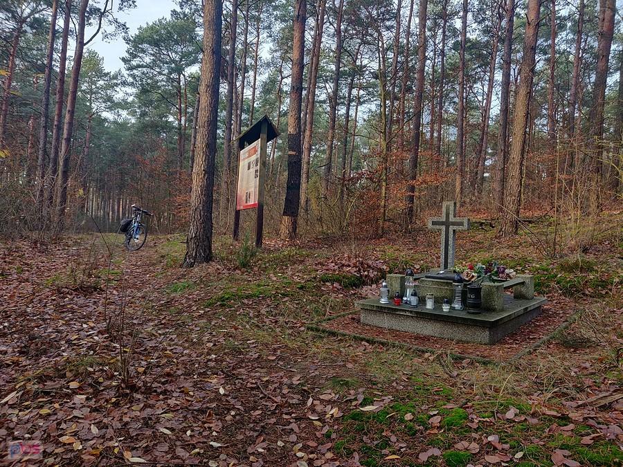 Widok na miejsce pamięci od wejścia z drogi leśnej.