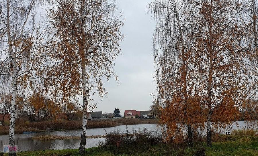 Staw w Grzędzicach