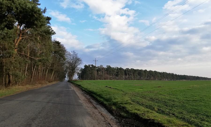 Dobra droga do zlej drogi - Rogalinek