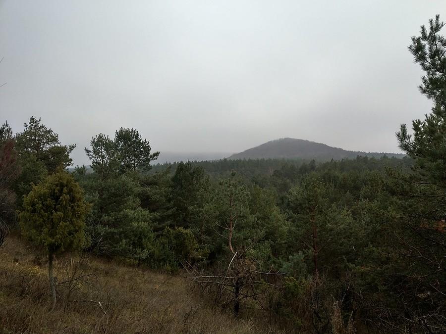 Zamglone Sokole