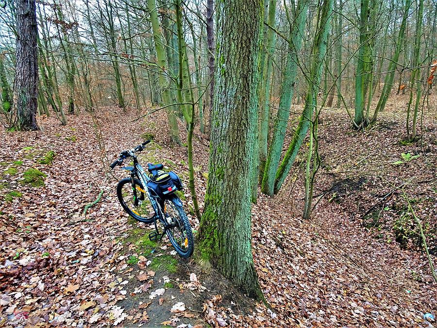 Po Kociewiu - Wycieczka rowerowa do Borówna.