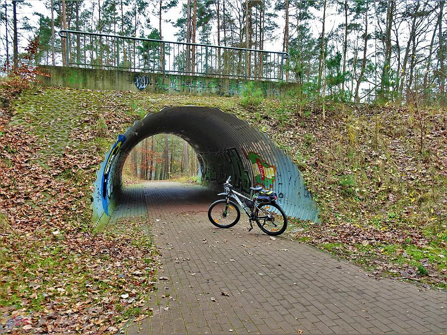 Po Kociewiu - Wycieczka rowerowa do Borówna.