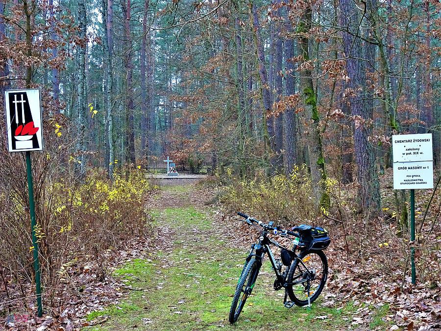 Po Kociewiu - Wycieczka rowerowa do Borówna.