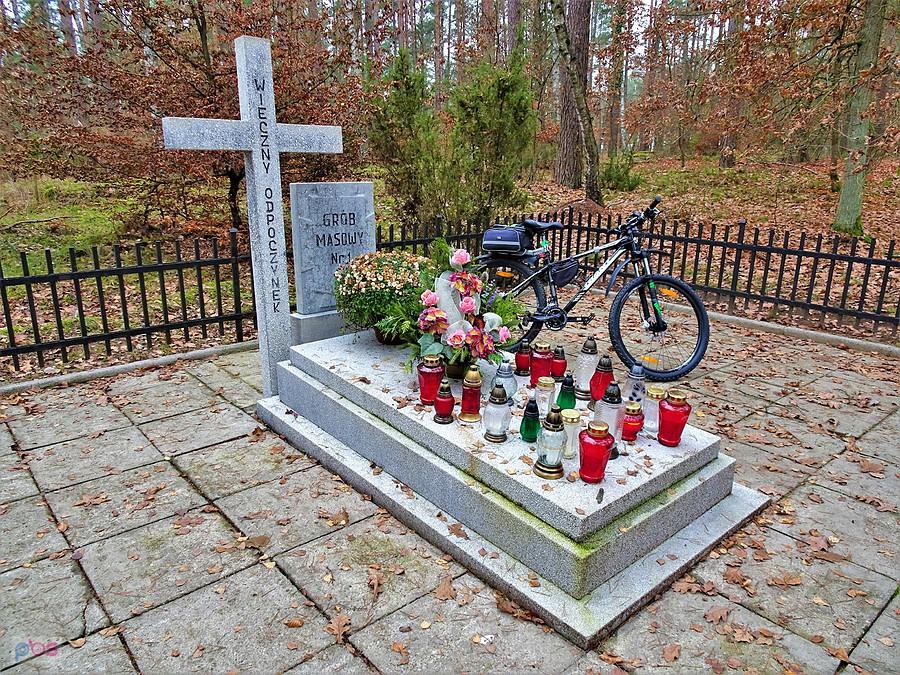 Po Kociewiu - Wycieczka rowerowa do Borówna.