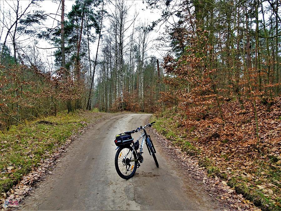 Po Kociewiu - Wycieczka rowerowa do Borówna.