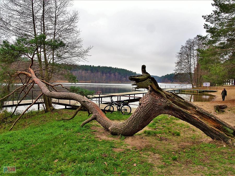 Po Kociewiu - Wycieczka rowerowa do Borówna.