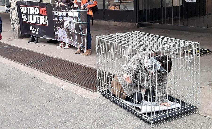 Akcja przeciwko hodowli zwierząt na futra - Poznań