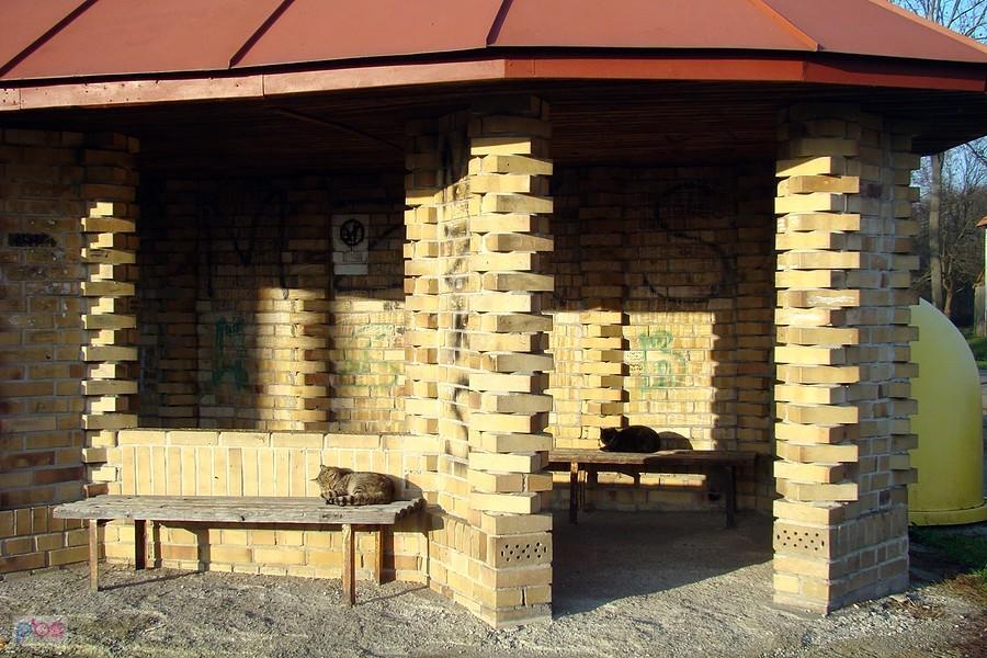 Na przystanku I
