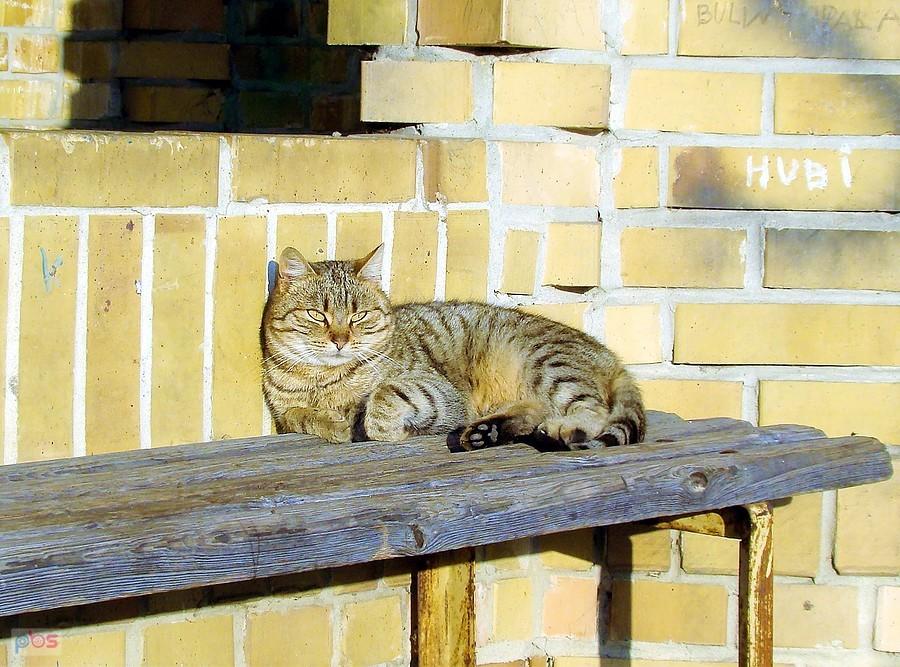 Na przystanku III