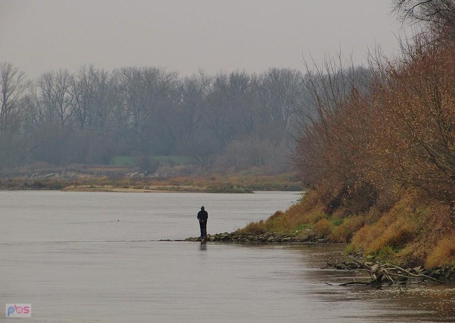 Wędkarz nad Wisłą