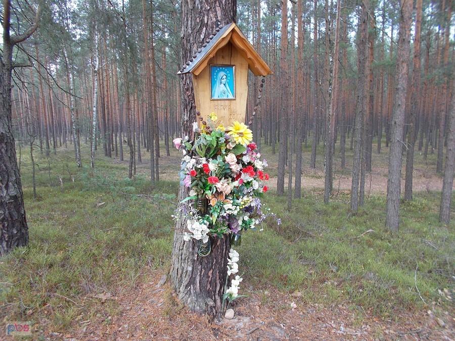 Kapliczka na byłym radzieckim poligonie lotniczym pod Przemkowem