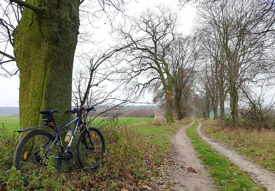 Ani błota, ani piachu. Miodzio - Wielkopolski Park Narodowy