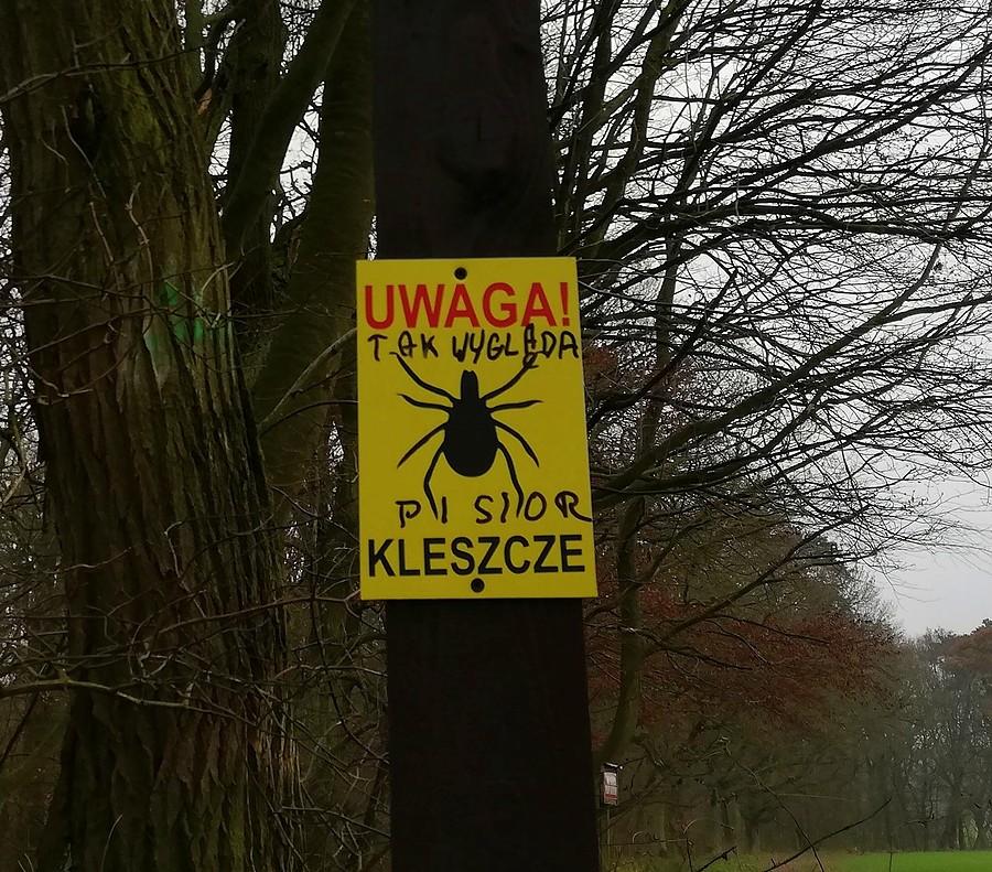 Leśny ruch oporu wciąż silny :) - Wielkopolski Park Narodowy