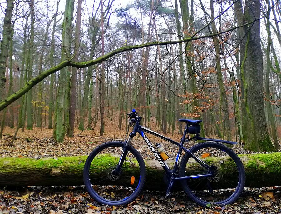 Cóż, przeskoczyć się nie dało - Wielkopolski Park Narodowy