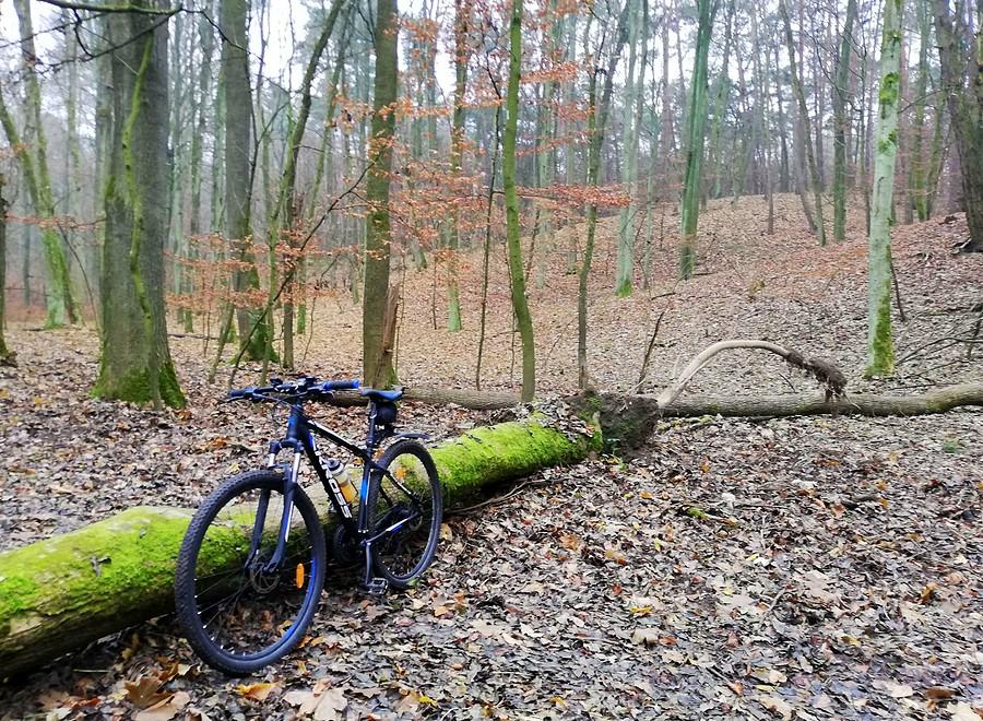 To, co lubię, czyli Puszczykowskie Góry - WPN