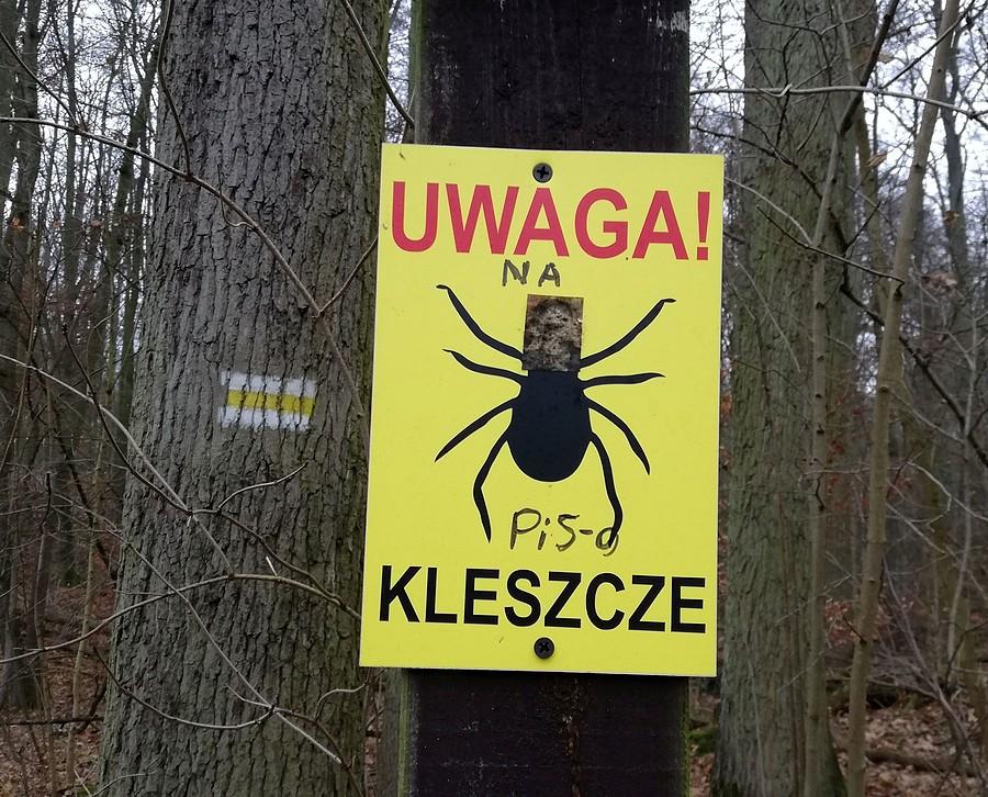 I jeszcze jeden :) - Wielkopolski Park Narodowy