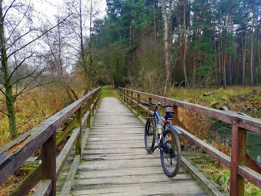 Mostki, te najlepsze z najlepszych - Wielkopolski Park Narodowy