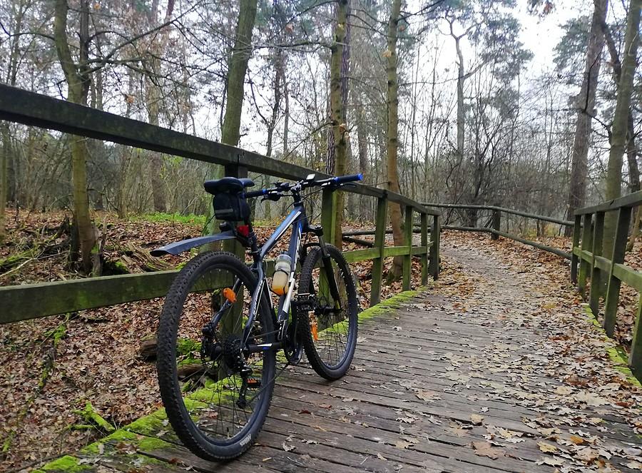 Zakręocono i mostowo - Wielkopolski Park Narodowy