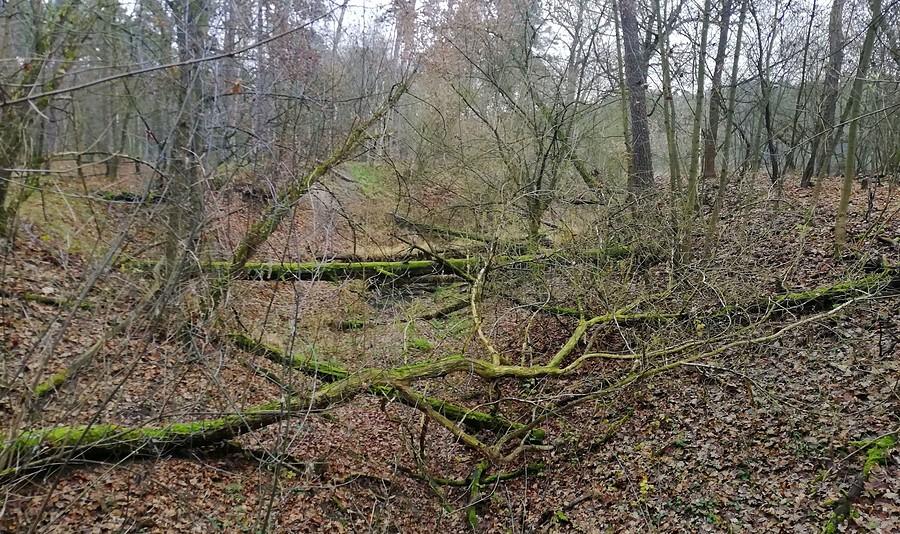 Klasyka WPN-owska - Wielkopolski Park Narodowy