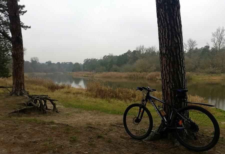 Warta cicha i spokojna- Wielkopolski Park Narodowy