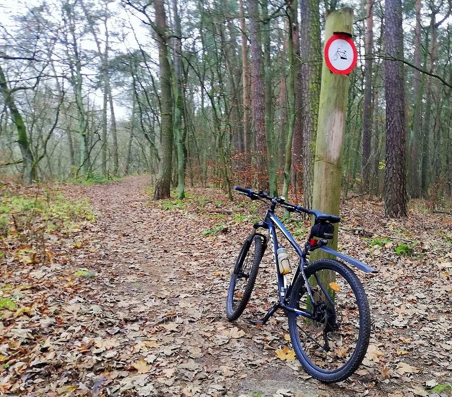 Zakaz jazdy rowerem w lesie, oczywiście olany :) - Wielkopolski Park Narodowy