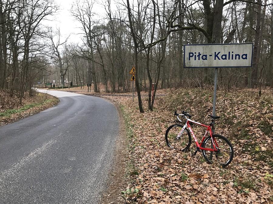 Piła - Kalina