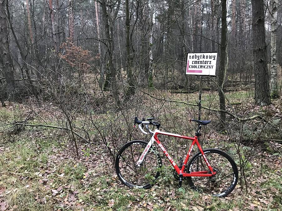 zabytkowy cmentarz choleryczny w okolicy Piły