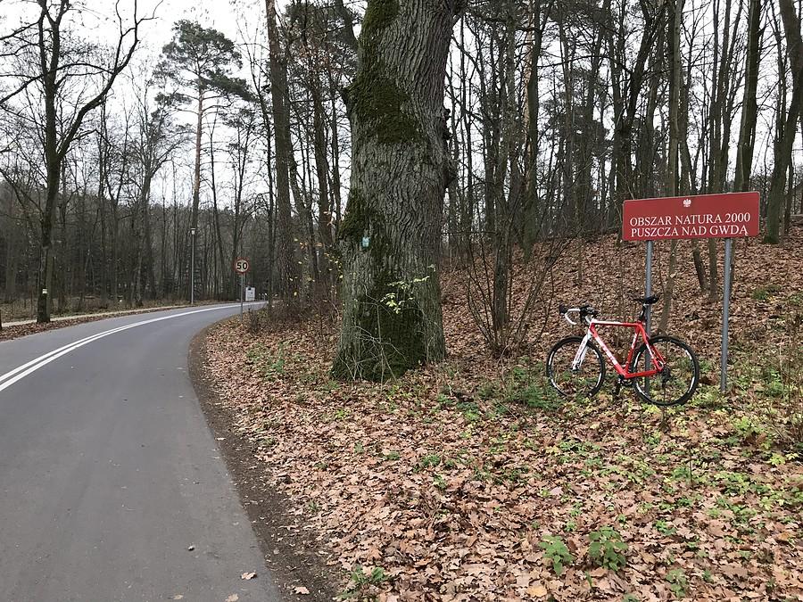 Obszar Natura 2000 - Puszcza Nad Gwdą
