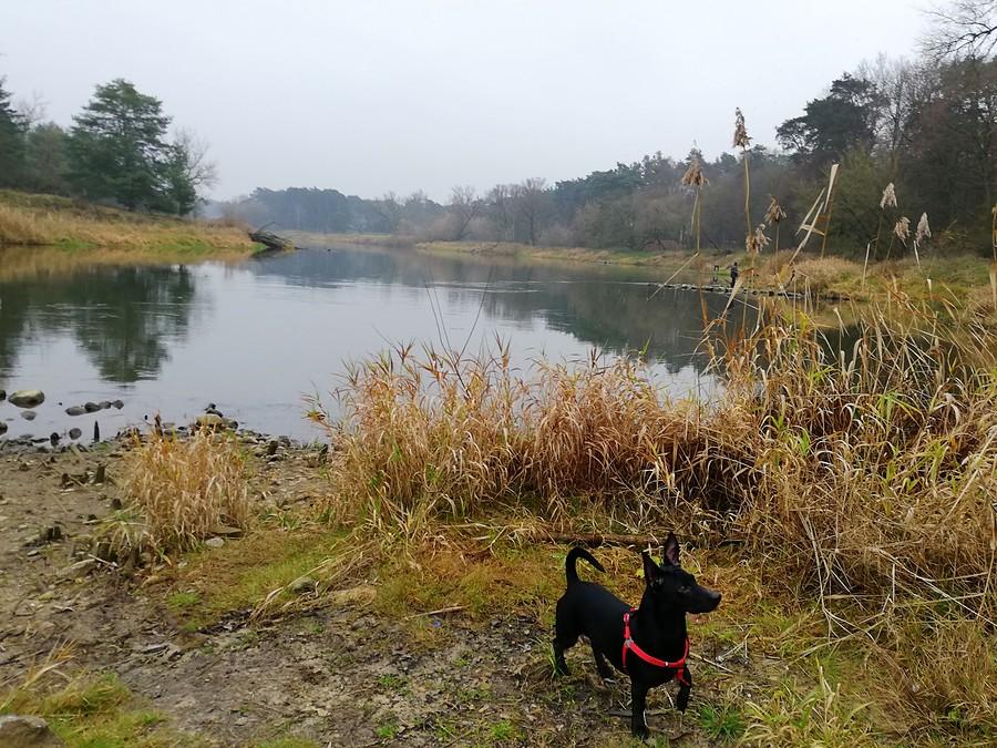 Zdziwko, czyli do stójki przystąp! - Wielkopolski Park Narodowy