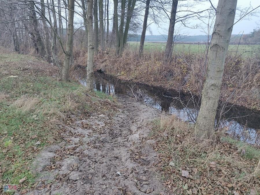 Tutaj jest woda, ale stojąca