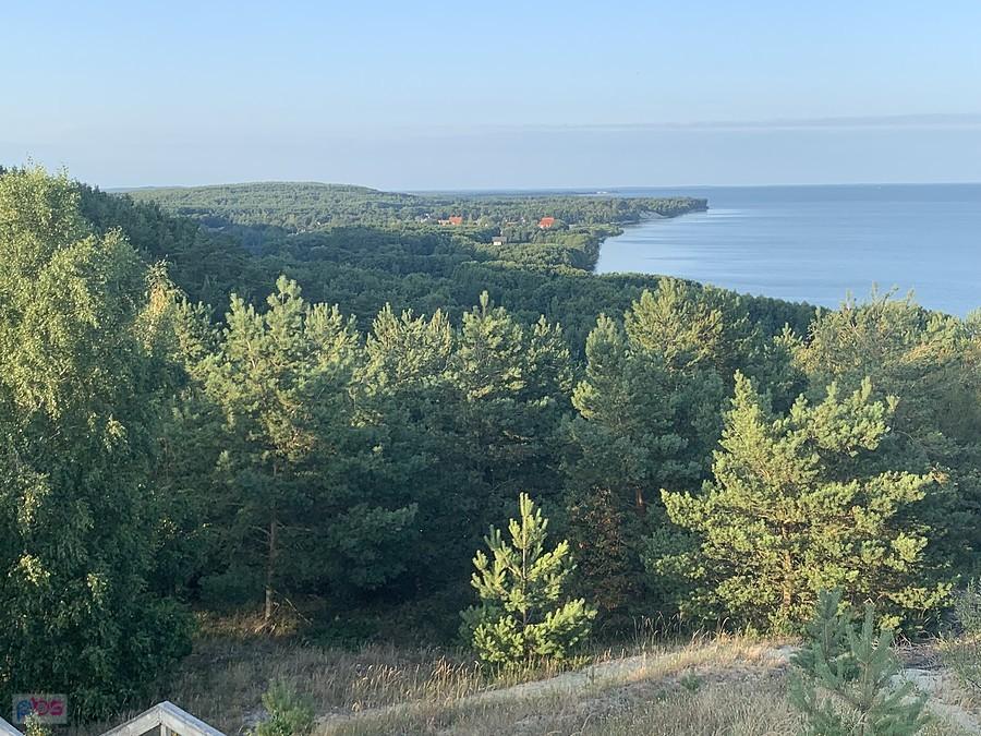 Widok z diuny Efa