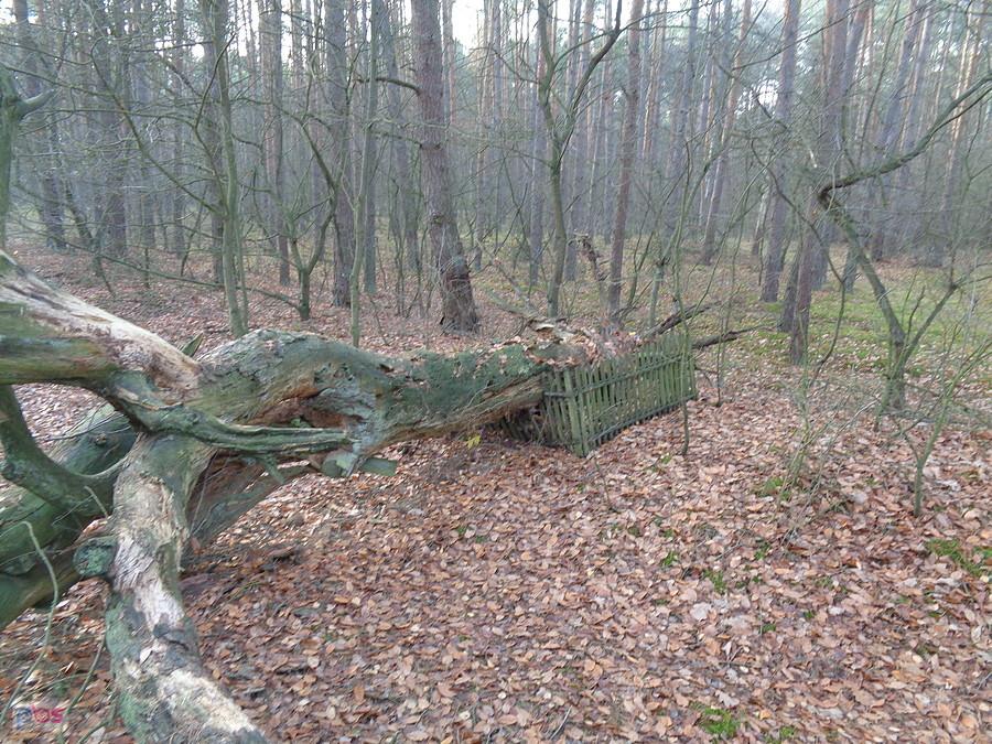 Widok z drugiej strony