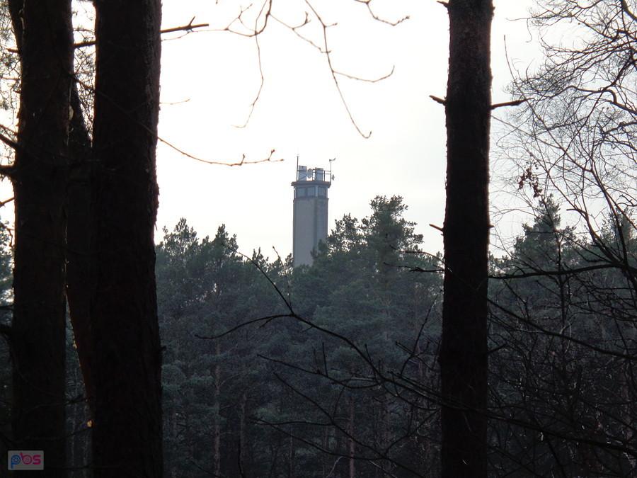 Widok na wieżę ze ścieżki zielonej rowerowej