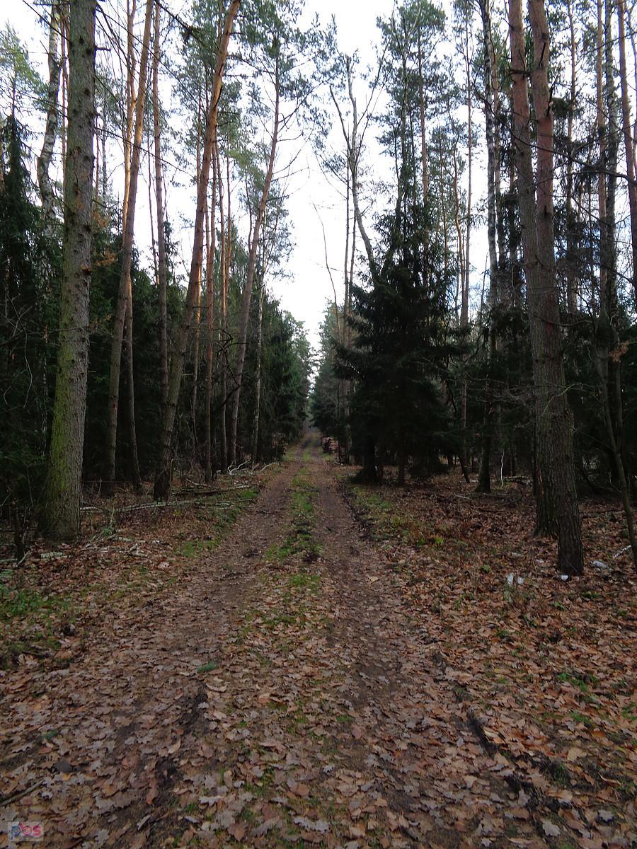 Trochę creepy, ale klimatycznie