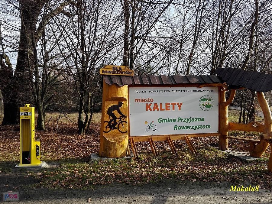 Truszczyca-dębowa aleja