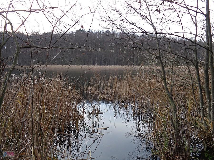Jezioro Łąkie 2