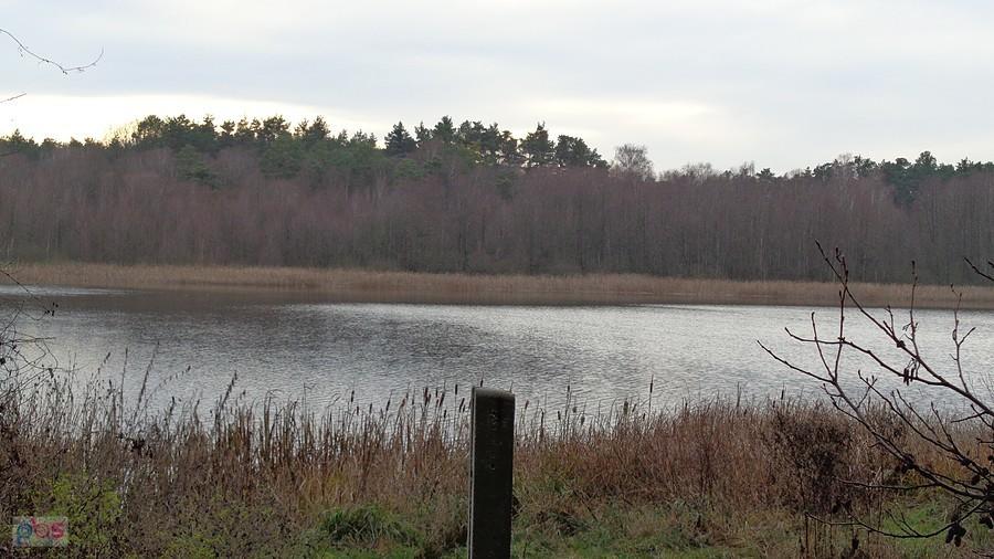 Jezioro Radyszyńskie