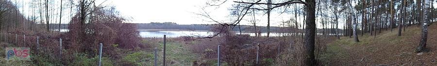 Panorama Jeziora Radyszyńskiego z ogrodzeniem