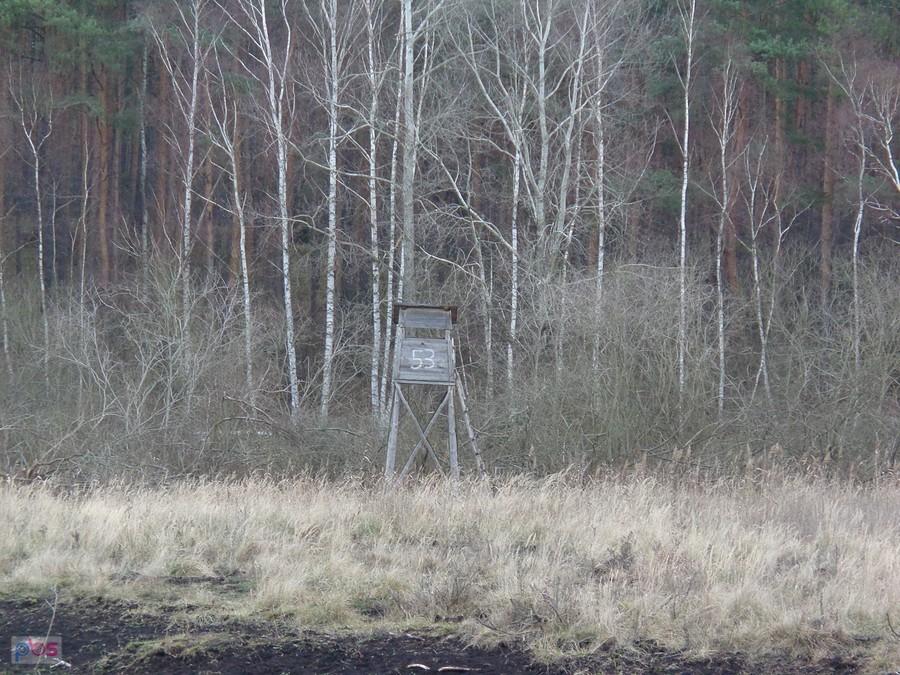 Ambona myśliwska