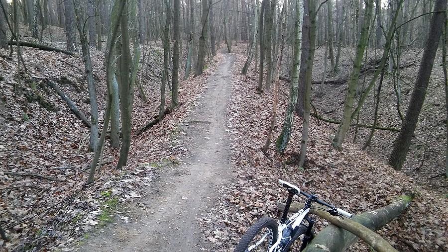 A to coś nowego - koledzy wytyczyli fajną pętelkę XC