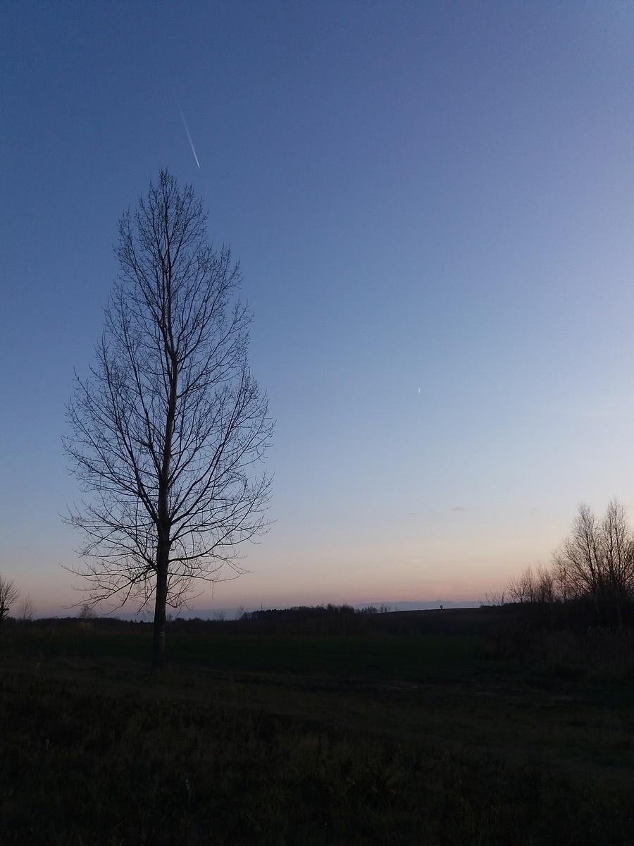 W drodze na Magdalenkę.
