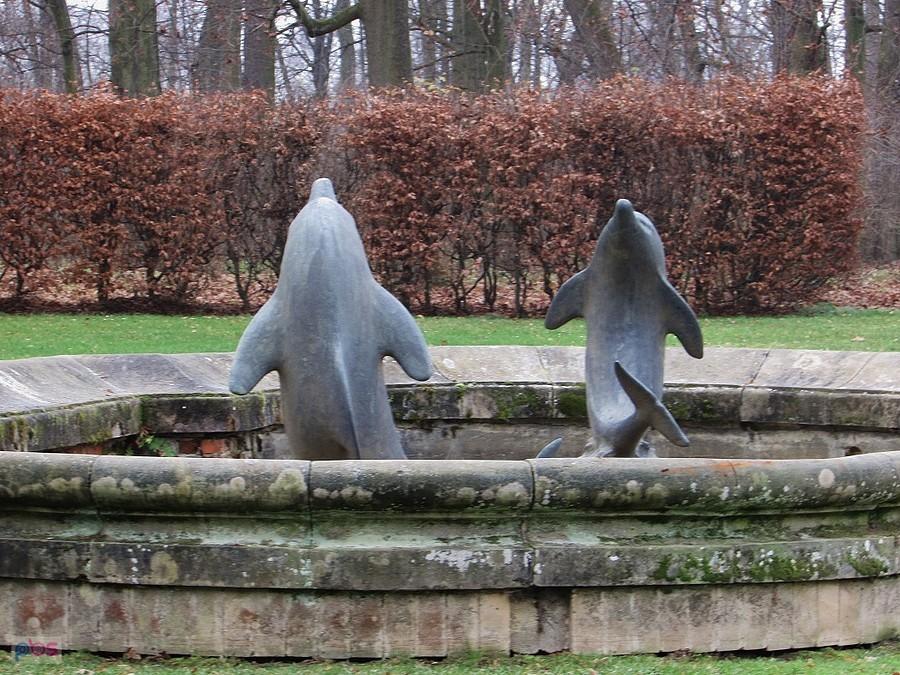 Delfiny w fontanie