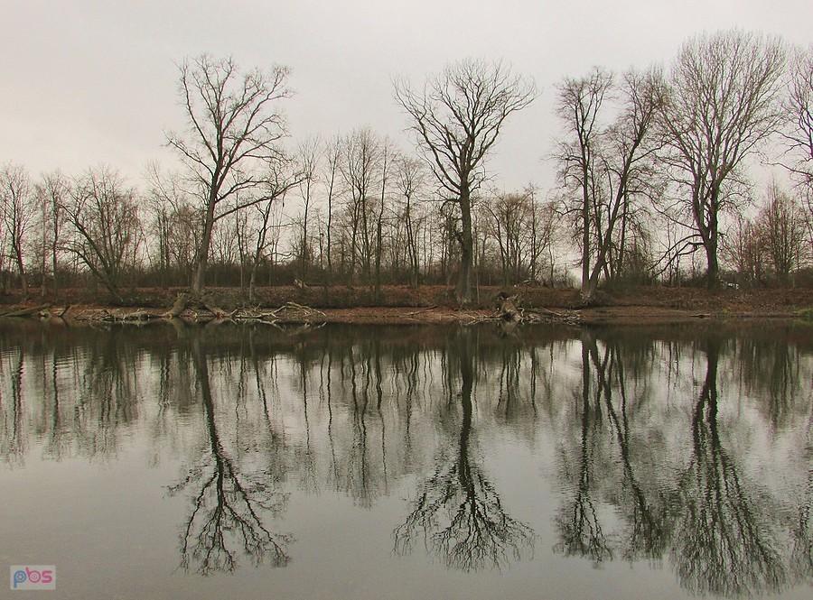 Brzeg jeziora Rokola