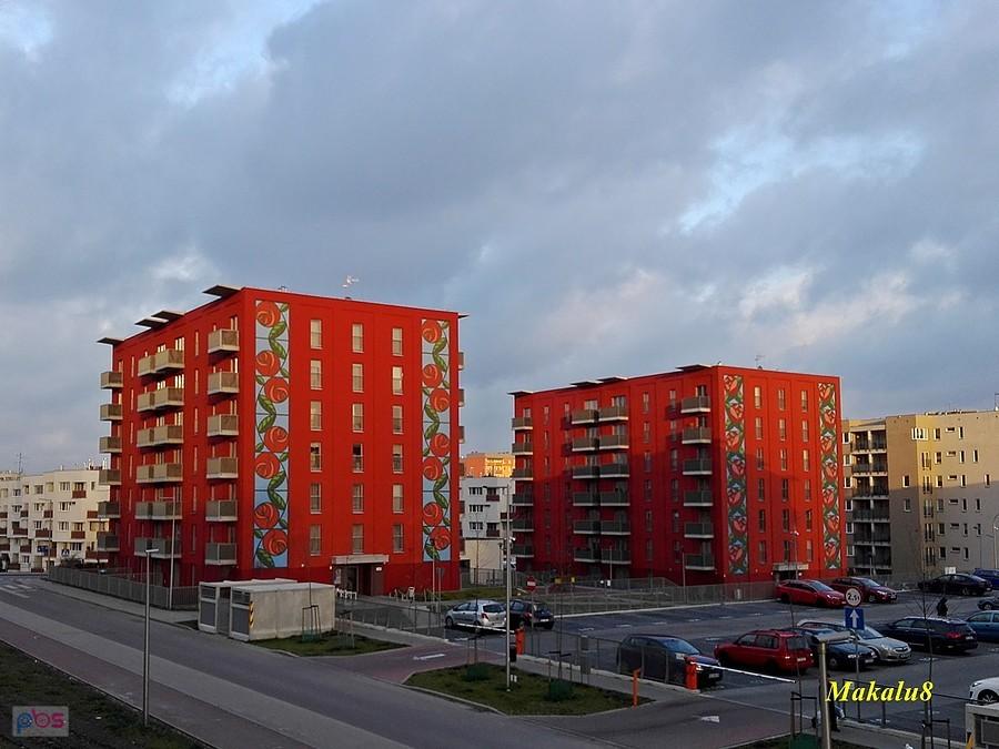 Róże z Nikiszowca na Witosa