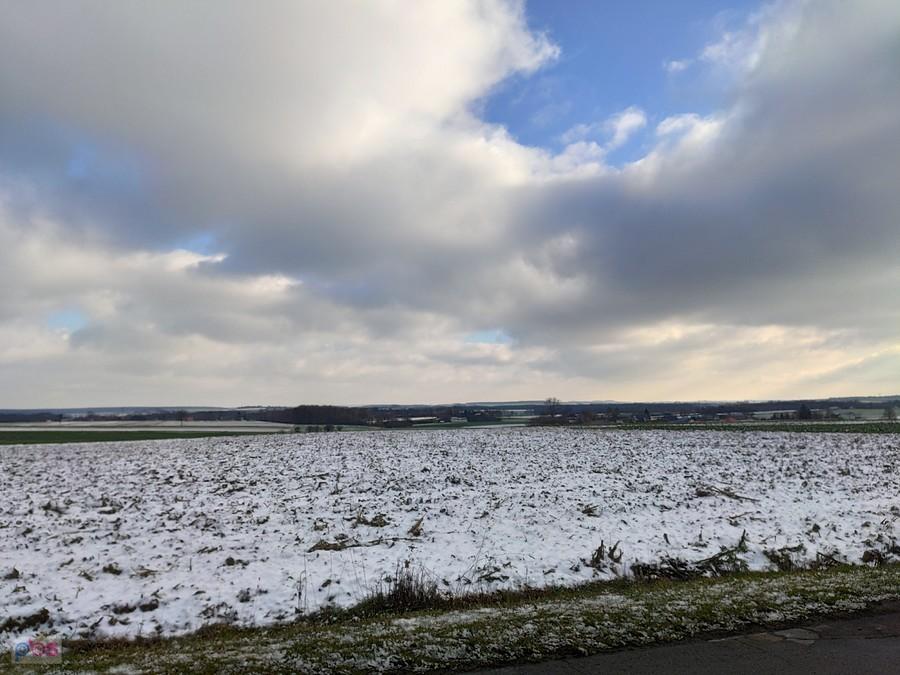 Pierwszy śnieg na polu
