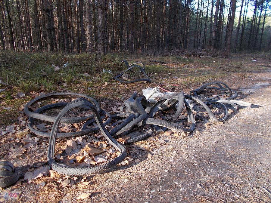 Typowy poziom lokalnych bikerów. Wziąść i wywalić zużyte dętki i opony do lasu pomiędzy Krzyżową, a Gromadką.