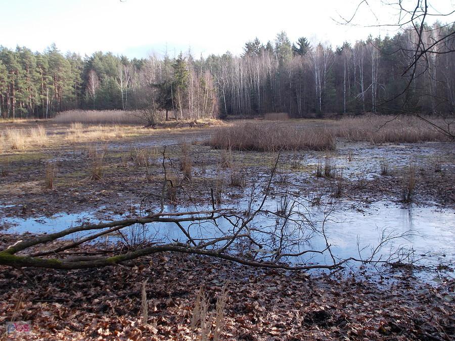 Jeden z dwóch poniemieckich stawów rybnych pomiędzy Krzyżową, a Gromadką. W tym miejscu po wojnie powstał ośrodek wypoczynkowy dla Armii Czerwonej. Obok stawu głównodowodzący Północnej Grupy Wojsk Armii Czerwonej z siedzibą w Legnicy Konstanty Rokossowski