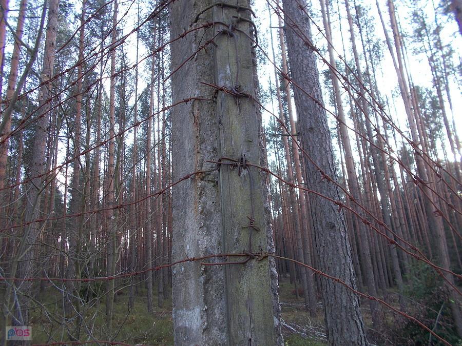 Pozostałość ogrodzenia byłego ośrodka wypoczynkowego armii ZSRR