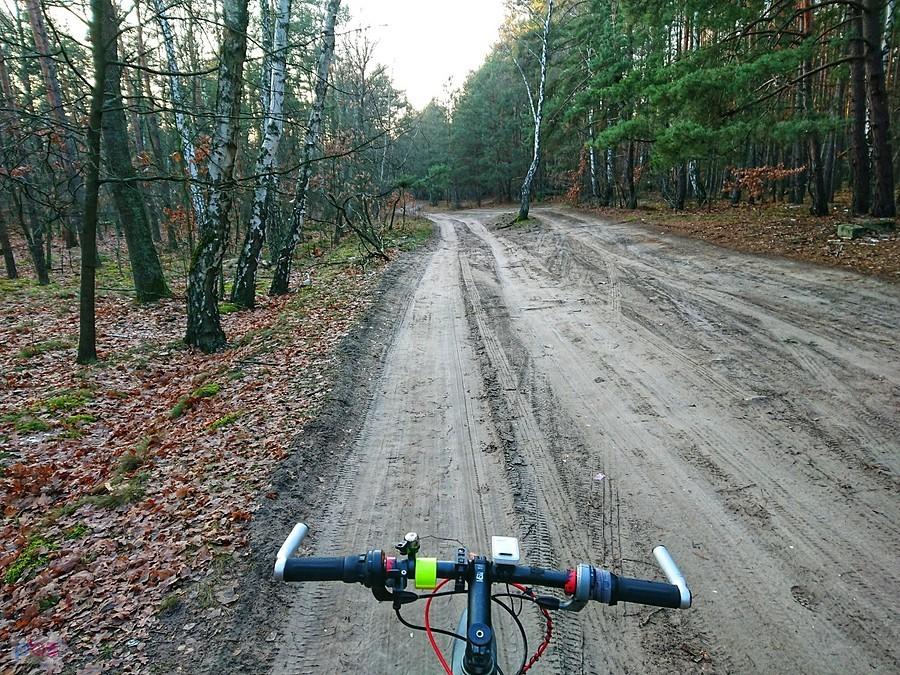 Kampinos