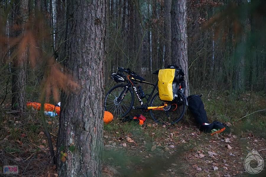 całkiem wygodny biwaczek nad Pilicą